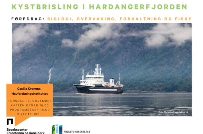 https://folgefonnsenteret.no/wp-content/uploads/kystbrisling-i-hardangerfjorden-680x450.png